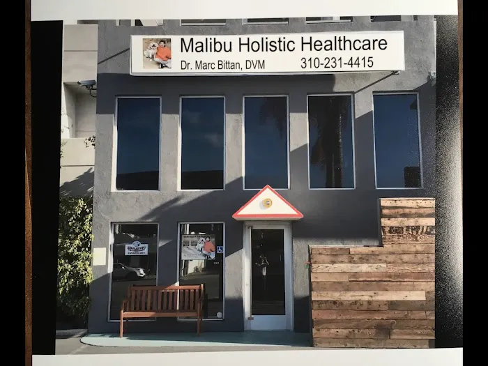 Holistic Veterinary Healthcare Picture 3