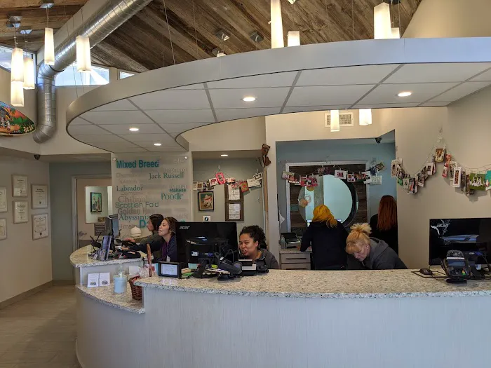 Malibu Coast Animal Hospital Picture 3