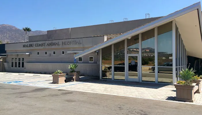 Malibu Coast Animal Hospital Picture 1