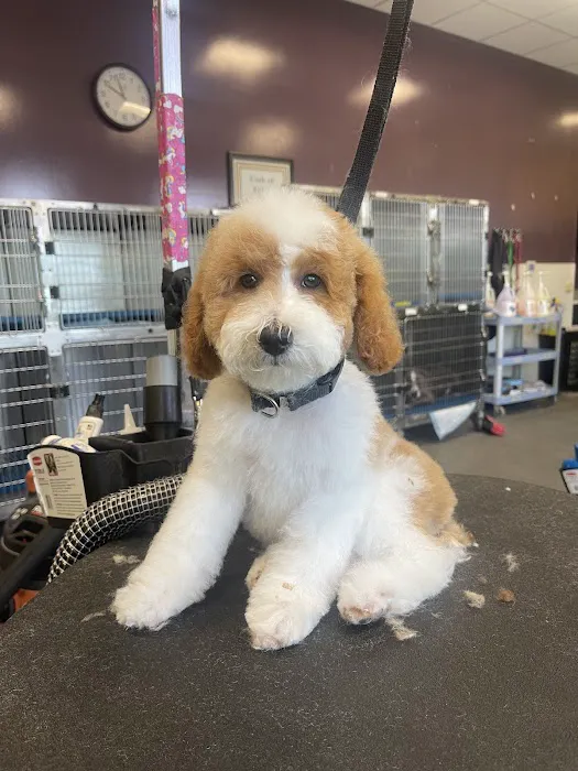 Banfield Pet Hospital Picture 2
