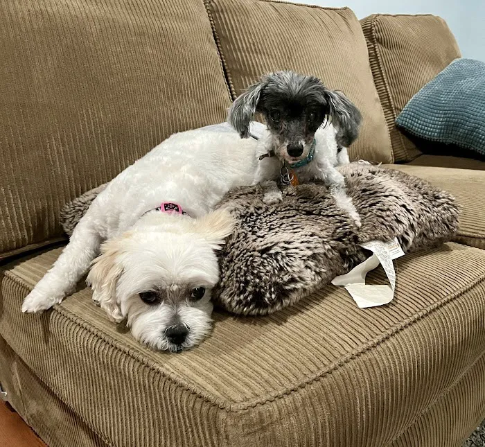 Banfield Pet Hospital Picture 5