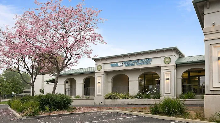 VCA Westlake Village Animal Hospital Picture 1
