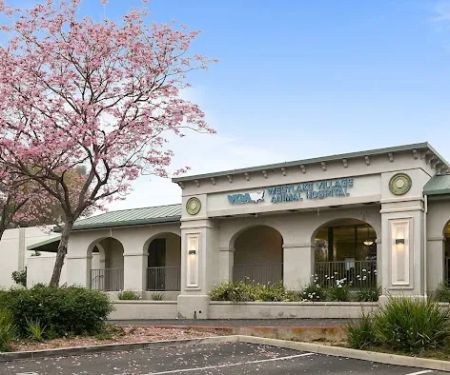 VCA Westlake Village Animal Hospital
