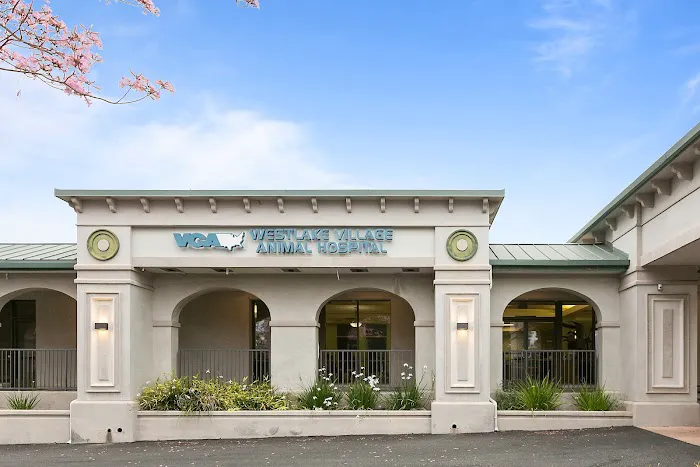 VCA Westlake Village Animal Hospital Picture 2