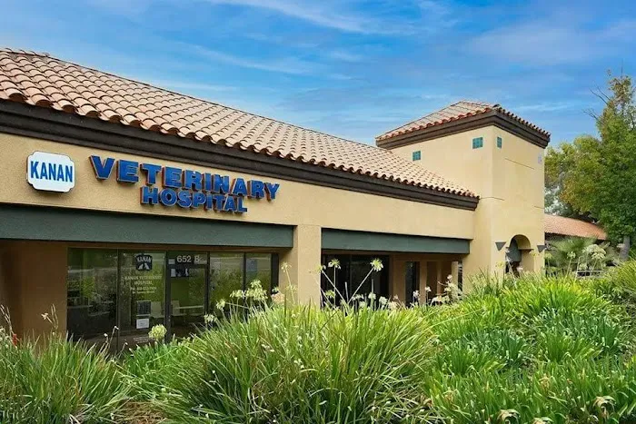 Kanan Veterinary Hospital Picture 5