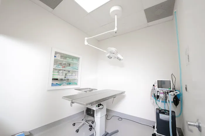 Kanan Veterinary Hospital Picture 9