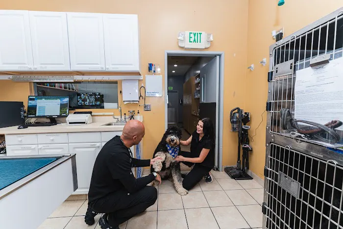 Townsgate Pet Hospital Picture 4