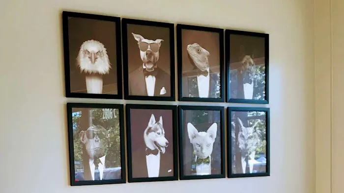 Townsgate Pet Hospital Picture 2