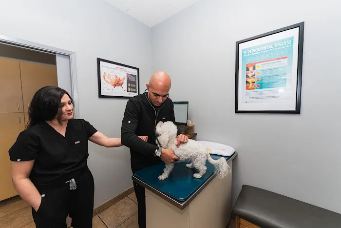 Townsgate Pet Hospital Picture 1