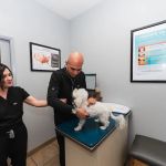 Townsgate Pet Hospital
