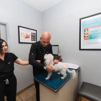 Townsgate Pet Hospital ico