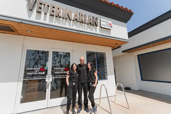 Townsgate Pet Hospital Picture 7