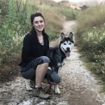 After Surgery Pet Recovery