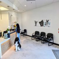 Slaton Veterinary Hospital ico