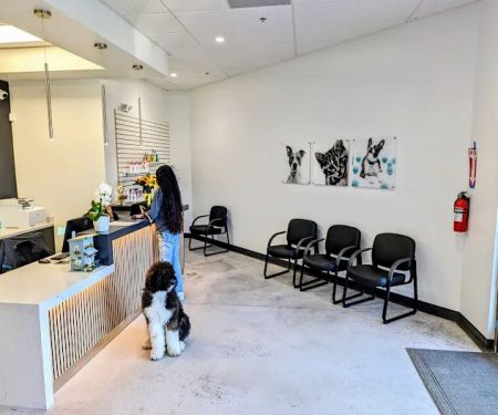 Slaton Veterinary Hospital