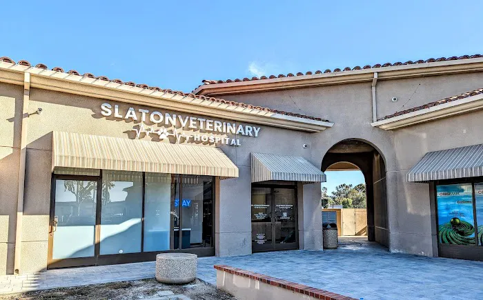 Slaton Veterinary Hospital Picture 7