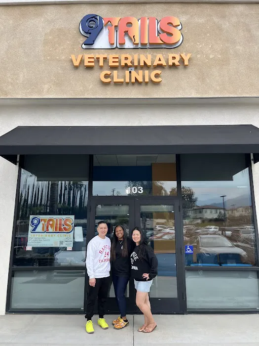 9Tails Veterinary Clinic Picture 6