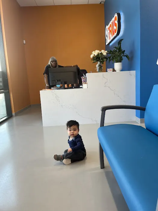9Tails Veterinary Clinic Picture 7