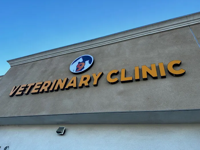 9Tails Veterinary Clinic Picture 9