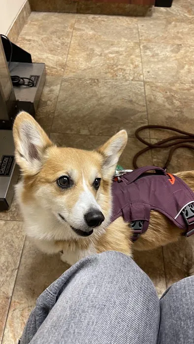 Animal Hospital of Eagle Glen Picture 5