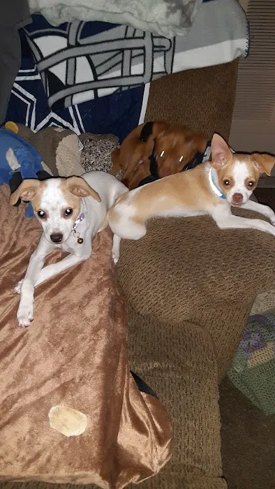 Arrowview Animal Hospital Picture 3