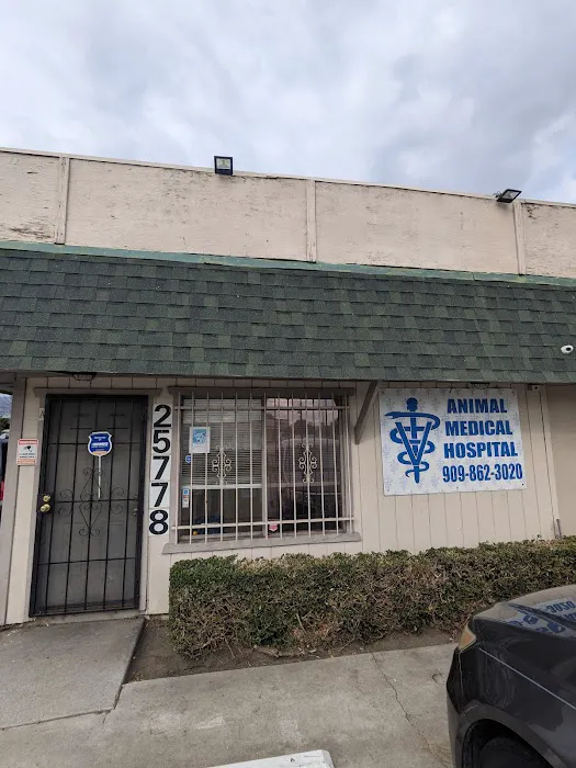 Animal Medical Hospital Association Picture 4