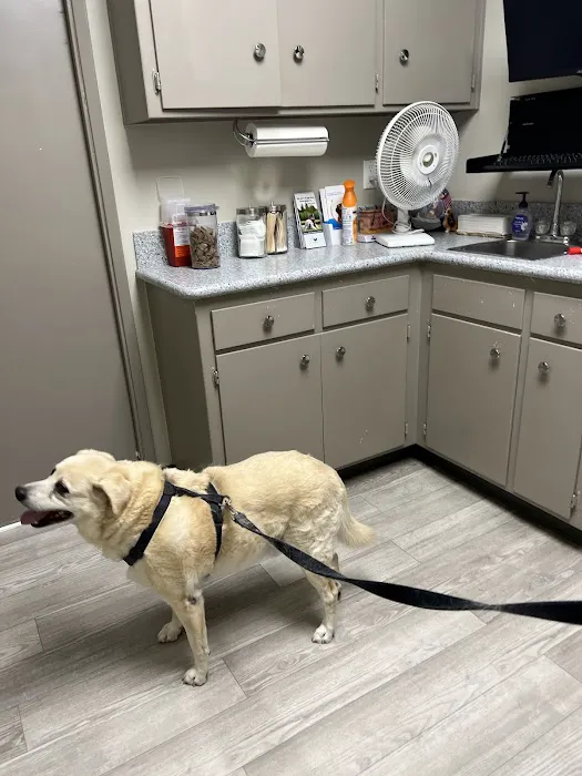 Woodcrest Veterinary Clinic Picture 2