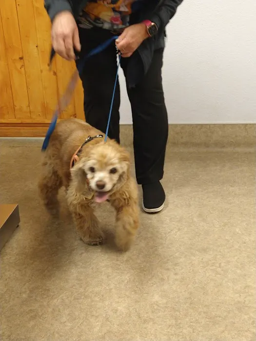 Sunnymead Animal Hospital Picture 5