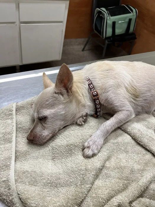 Sunnymead Animal Hospital Picture 3