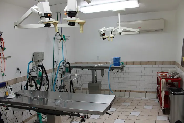 Sunnymead Animal Hospital Picture 10
