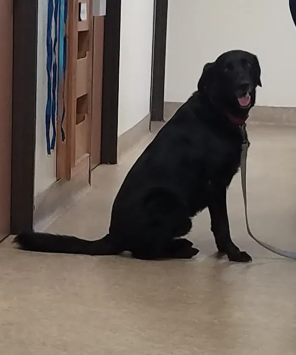 Sunnymead Animal Hospital Picture 7