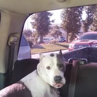 SunnyMead Veterinary Clinic ico