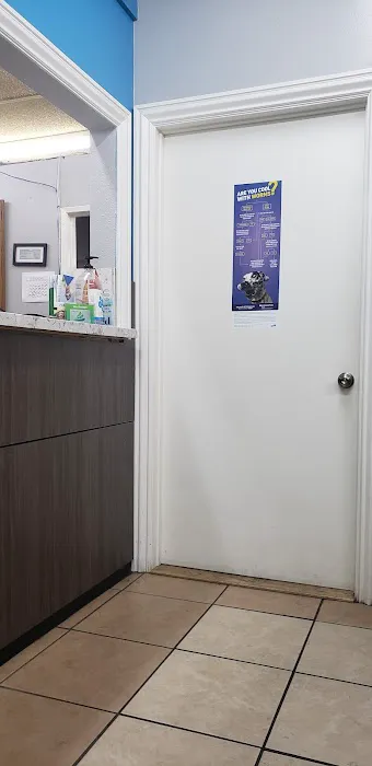 SunnyMead Veterinary Clinic Picture 5