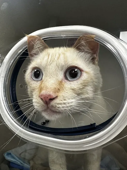 Veterinary Emergency Center of Redlands Picture 7