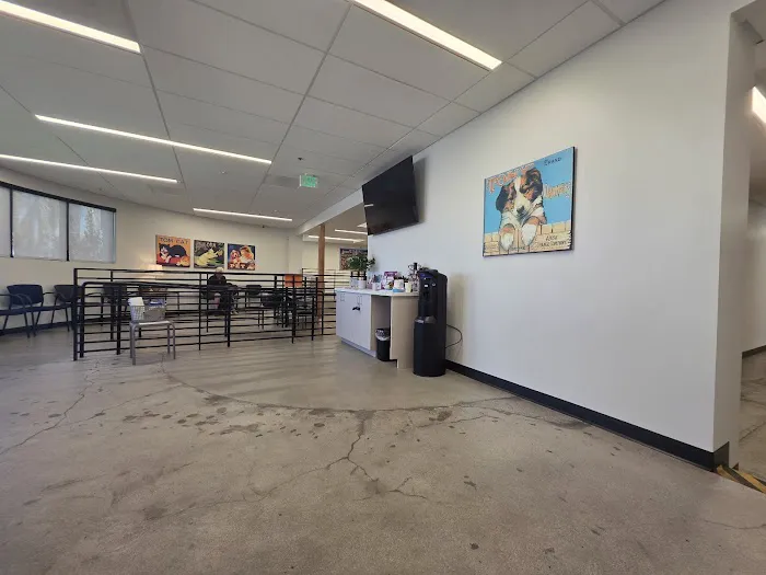 Redlands Animal Hospital, Inc. Picture 2