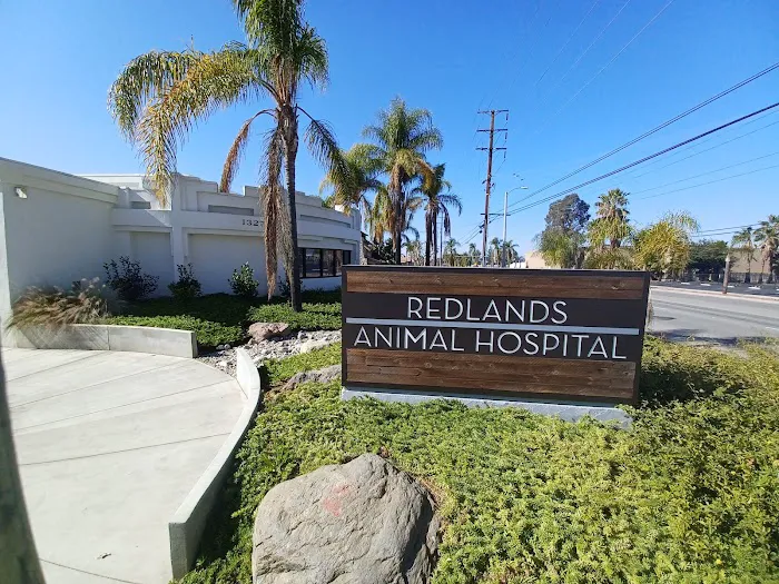 Redlands Animal Hospital, Inc. Picture 10
