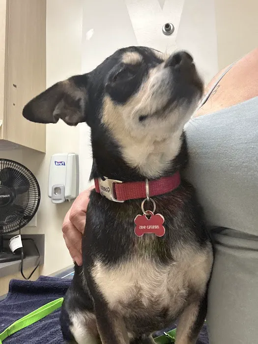 Vetco Total Care Animal Hospital Picture 10