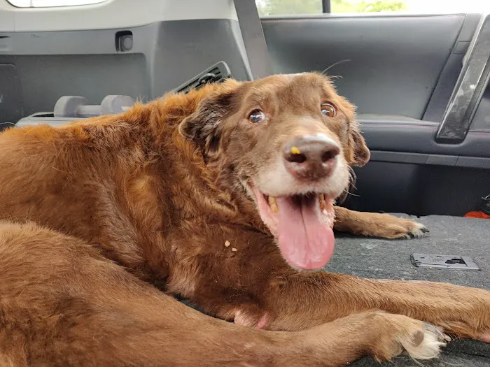 Animal Medical of Salado Picture 1