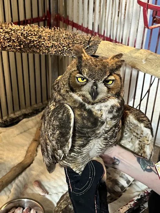 Animal Medical of Salado Picture 2