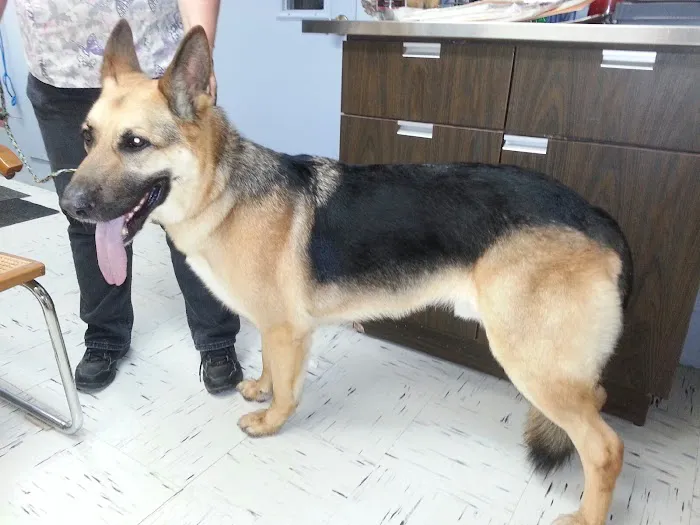 Animal Medical of Salado Picture 7