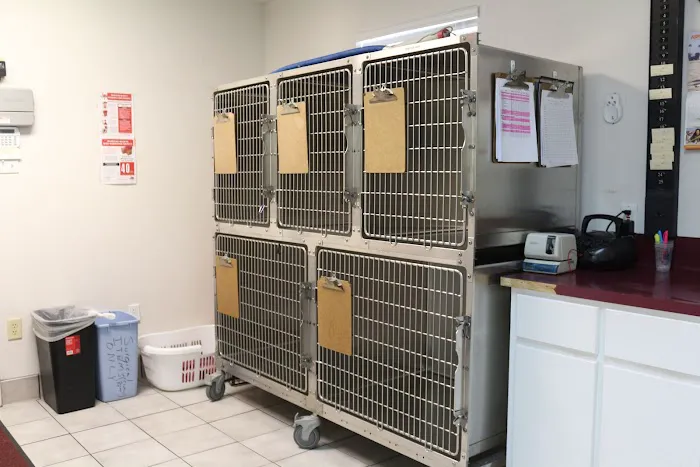 Pet Medical Center Picture 7