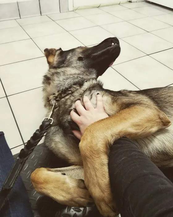 Pet Medical Center Picture 5