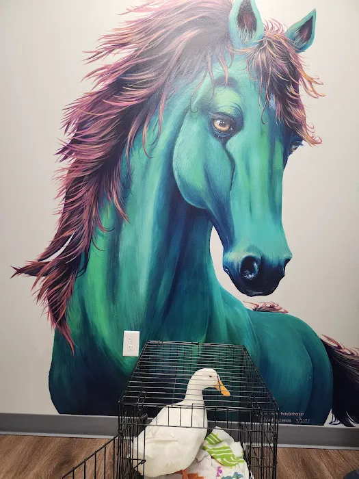Compassion Veterinary Hospital Picture 1