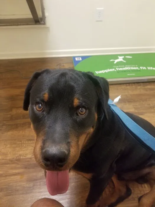 Stagecoach Pet Hospital Picture 6
