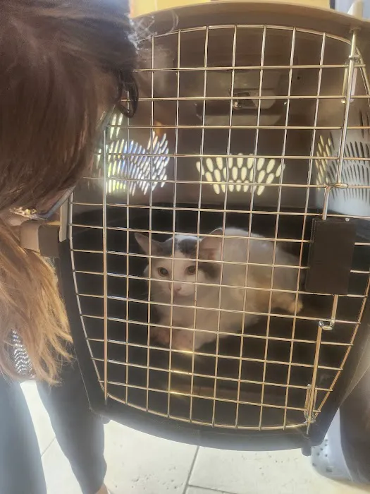 Companion Animal Medical Center Picture 2