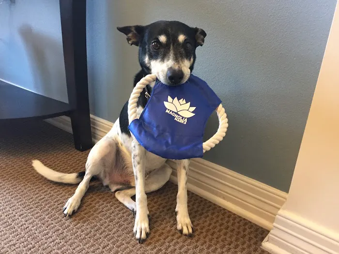South Park Animal Hospital Picture 3