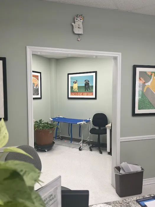 South Park Animal Hospital Picture 1