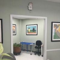South Park Animal Hospital ico