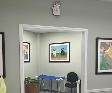 South Park Animal Hospital