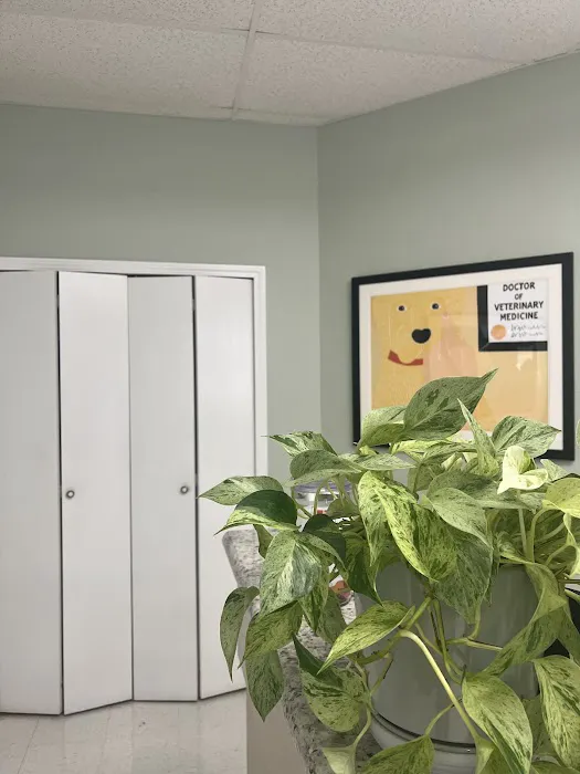 South Park Animal Hospital Picture 8